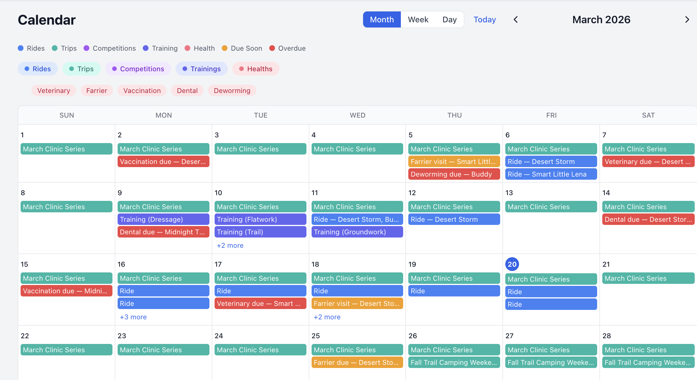 Shared calendar showing appointments and lessons